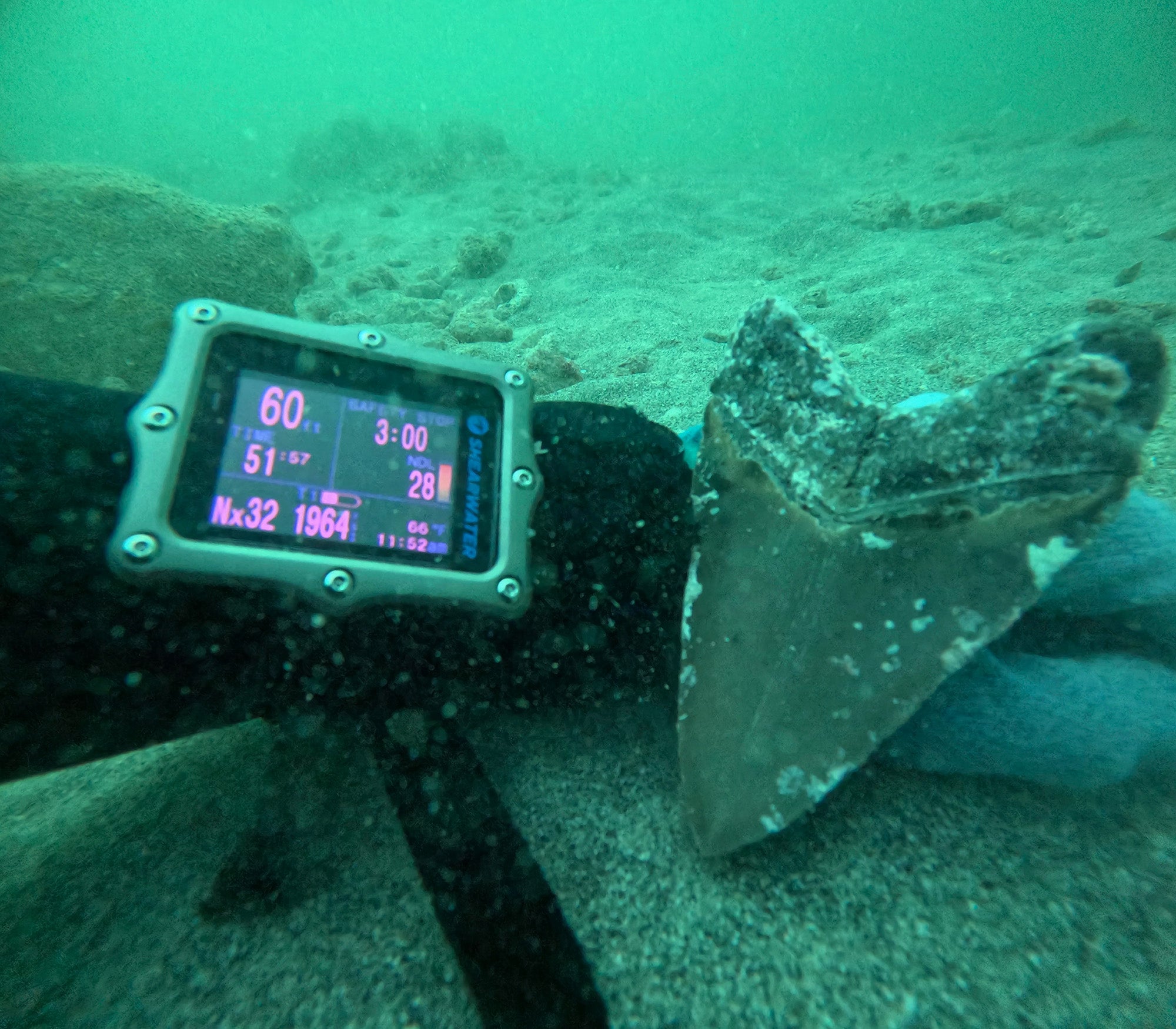 Diving into Florida’s Prehistoric Past